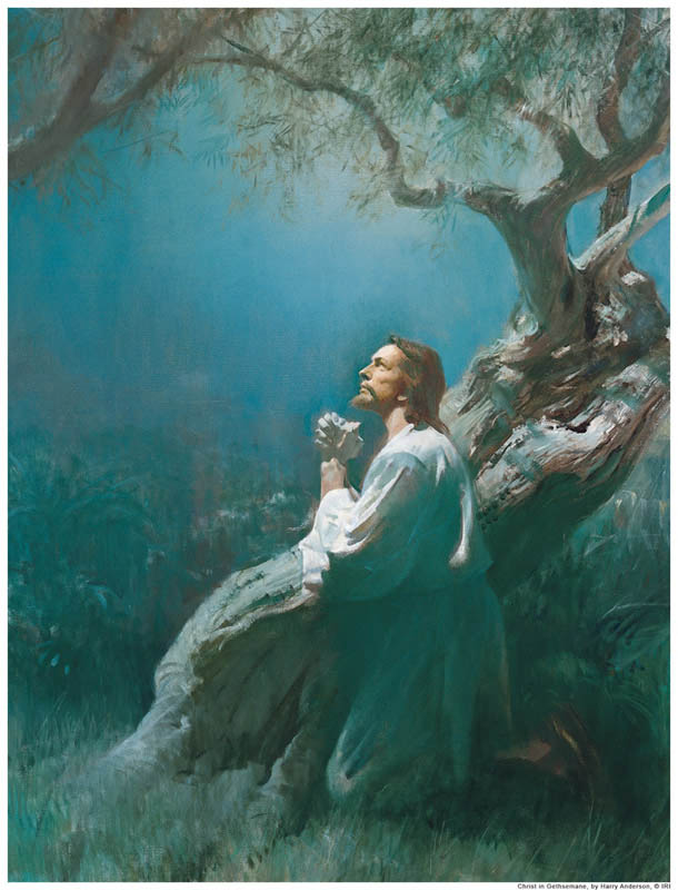 Mormon Doctrine Plan Of Salvation
