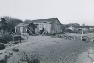 A black and white photgraph of a run down farm and barn on Harkers Island.