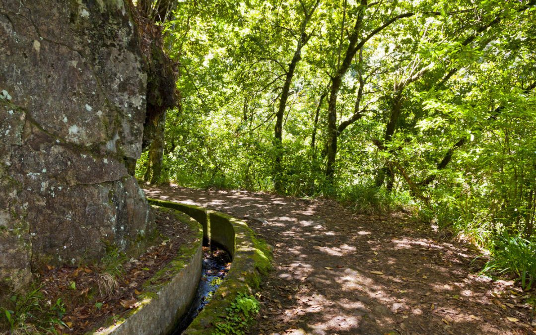 Mormon Pioneer National Heritage Area receives grant to expand OHV trail system